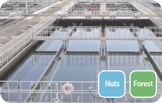 Sewage treatment plants