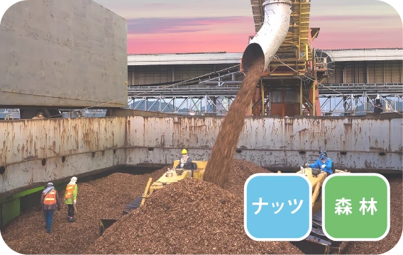 バイオマス発電