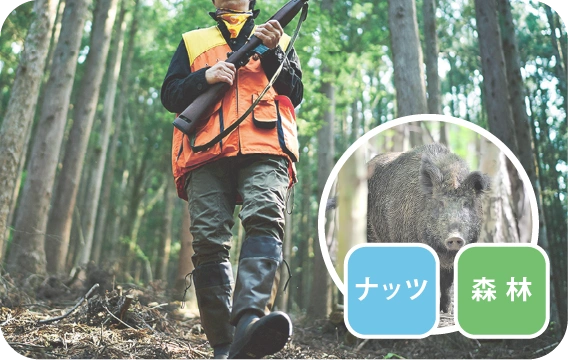 害獣関連