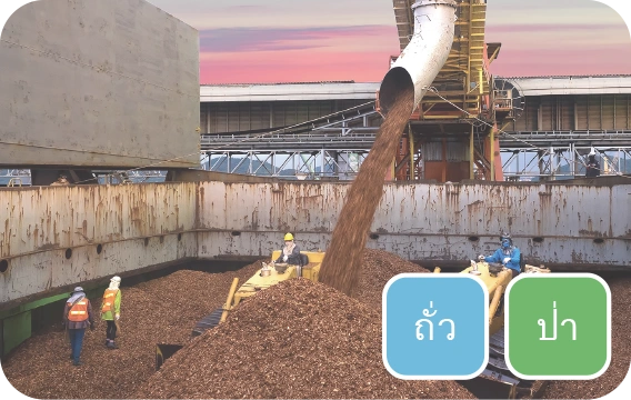 โรงไฟฟ้าชีวมวล
